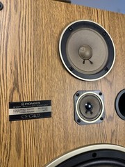 Pioneer 15″ 3-Way Floor Speaker CS-G403 Vintage