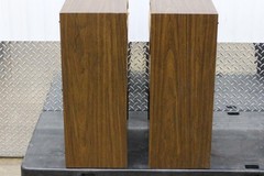 Avid Model 102 Floor Speaker Pair