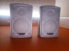 Pair Of Infiniti SAT450 2 Way Speakers (Silver) • GREAT CONDITION