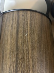 Zenith Circle of Sound Vintage Mid Century Speakers