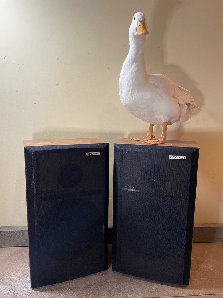 Pair of Retro Pioneer CS-G104a Speakers Working & Sound Great!