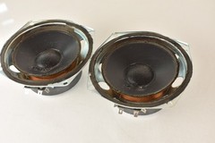 Single ADVENT “Indoor/Outdoor Mini Advent” Speaker Mid Woofer for PARTS/REPAIR