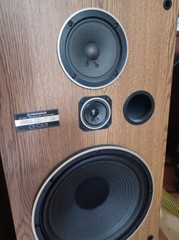 Pioneer CS-G303 Speakers, Pair