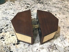 microstatic tm tweeters