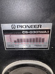 Pioneer CS-G301wa Speaker Single Speaker With Cover