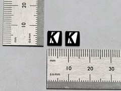 Kicker Tweeter Badge Small Logo Brushed Silver Pair