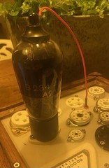 E446=RENS1284 NOS Philips Vacuum tube/Rohre/Lampe