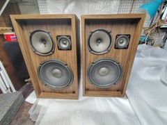 Pioneer CS-66G speakers, one pair