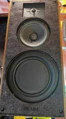 PAIR! Epicure 2.0 anti diffraction pad set with tweeter insert.