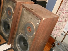 Epicure M100 Speakers First Generation