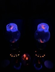 U.S.A Western Electric 300B triode. New in Box – B-stock (2025)