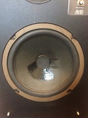 Vintage Avid Model 100 Floor Bookshelf Two-Way Audiophile Speakers Made in US
