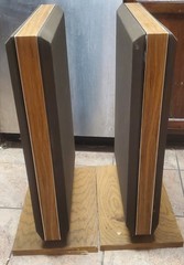 Vintage Bertagni Electroacoustic Systems BES SM-100 Speaker