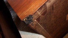 AR – 11 Speakers – Very Fine