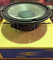 Fostex CSW25 25cm 10″ SUPER WOOFER VERY RARE MADE IN JAPAN 4OHM 100W Carbon