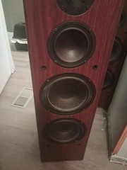 Vintage Audiofile Floor Standing Speakers 830LR