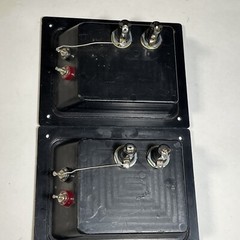 Two Speaker Terminals Reclaimed With Fuse Holders and 1/4”Bayonet Socket AV Shop