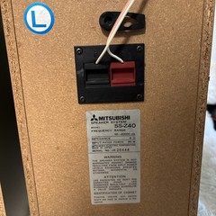 Mitsubishi Z-40 Interplay Vertical Turntable