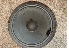 Fender Vintage 10 Inch Speaker