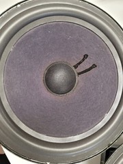 Epicure 3.0 Pyramid Refoamed Replacement Speakers 10″