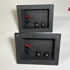 Two Speaker Terminals Reclaimed With Fuse Holders and 1/4”Bayonet Socket AV Shop
