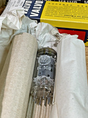 1 NOS NIB Valvo EL508 / 6KW6 Vacuum Tube Germany – (Many Available)