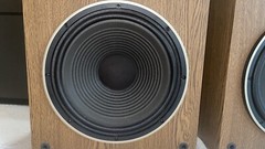 Pioneer CS-G303 3-Way Speakers Pair