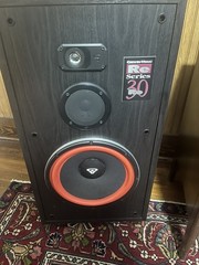 Cerwin Vega RE 30 Series 250 Watt 3 Way Floor Standing Speakers*Excellent*Pickup
