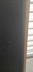 Cerwin Vega AT-12 Speakers Pair | Refoamed Woofers | Original Grills | Fully Wor