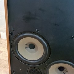 Vintage Dynaco A-50 Speakers – Denmark (PAIR) Beautiful Condition !