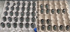 Quad Set (4) TESTED STRONG Sylvania 1960 12AU7 / ECC82 Long Plate Preamp Tubes