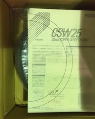 Fostex CSW25 25cm 10″ SUPER WOOFER VERY RARE MADE IN JAPAN 4OHM 100W Carbon