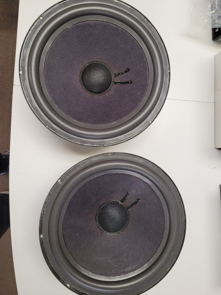 Epicure 3.0 Pyramid Refoamed Replacement Speakers 10″