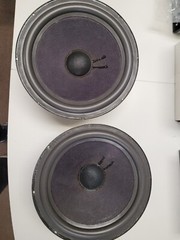 Epicure 3.0 Pyramid Refoamed Replacement Speakers 10″