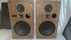 Pioneer CS-G303 3-Way Speakers Pair