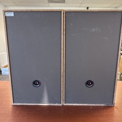 Vintage Set of 2 Pioneer CS-G201WA 11 Speakers Laminated Wood UNTESTED