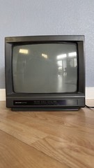 Sharp Linytron 13A M100 TV CRT Tested