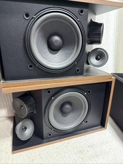 Bose 4.2 Series II Direct Reflecting Speakers Tested Wood
