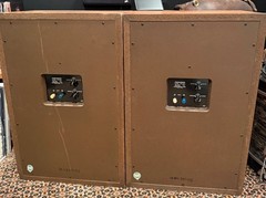 Pioneer CS-99A Speakers