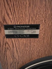 Pioneer CS G-303 Home speakers