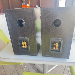 Imfinity IL10 Speaker Pair. Beautiful Black Grain Wood. USA. Pick Up Only!