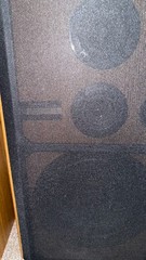 Pioneer Speakers CS-G204