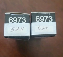 6973, Electro-Harmonix, Russia, Vacuum Tube, Pair, Power