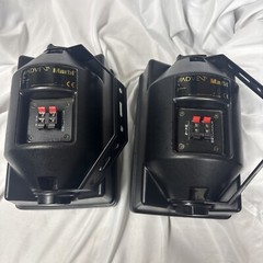 Advent Marbl Indoor Outdoor Speakers & Brackets In Great Working Condition!