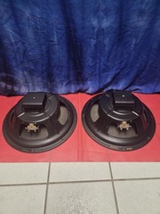 12″ Alnico Speaker Smooth Cone Pair Heppner 16 Ohm Guitar Tube Amp Amplifier Vtg