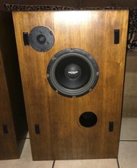 Super Rare Pair Of Petras LoudSpeakers Both Look And Sound Great !
