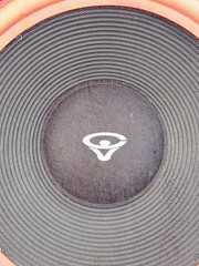 Cerwin Vega AT-12 Single 12″ Woofer ATW-12 (PLEASE READ)