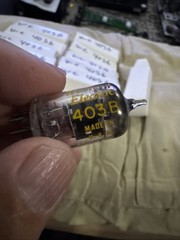 12 of Western Electric 403B 5591 Vacuum Tubes Square Getters Test Strong TV-7U