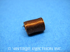 (2 PCS) 6.0 Microhenry (6.0 uH) Fixed Inductor Coil / Choke