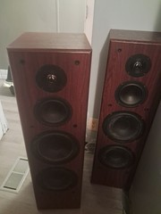 Vintage Audiofile Floor Standing Speakers 830LR